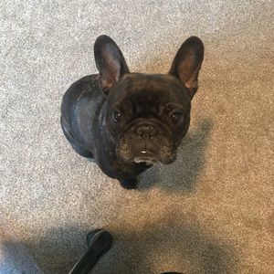 Meet your Posher, Natasha